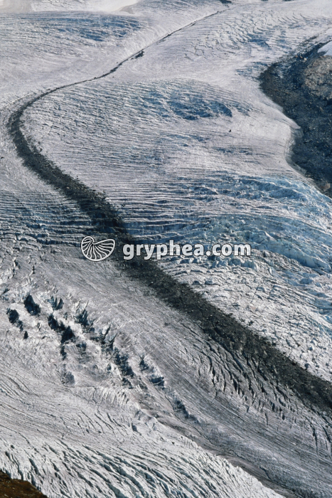Moraine centrale - gryphea.org
